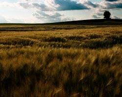 Every Good Deed Is Charity - II