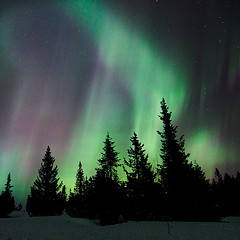 Lo que el Islam ofrece a la Tierra