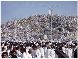 Le mérite du jour de ’Arafah
