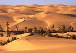 Mercy on Society - From Anarchy to Complete Discipline - III