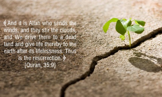 Resurrection after Death in the Verses of the Noble Quran - II