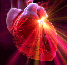 The Crucial Role of the Heart 