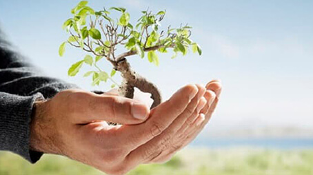  البناء الأخلاقي لا يتم بالعجلة