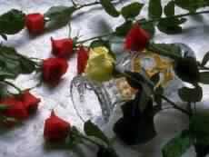 ومن يستعفف يعفـه الله