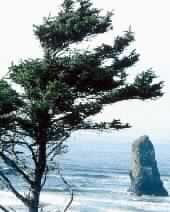 أمثال المؤمن والكافر