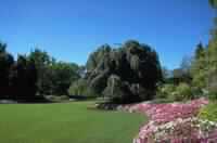 كيف تكتسبين الثقة في نفسك؟