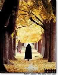 العنوسة..  أسباب و آثار ( 2 )