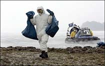 German Cat Gets H5N1 Bird Flu, Virus Spreads 