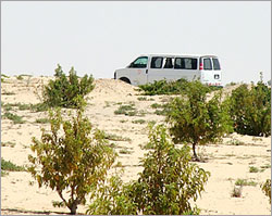 Landmines Kill Three in Egypt