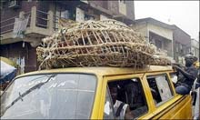 Nigeria bird flu death confirmed 