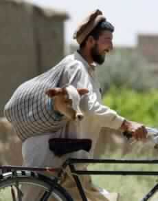 Three Coalition Soldiers Wounded in Afghanistan