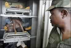 Peacekeepers Ready to Go in to Liberia as Fighting Continues