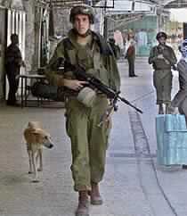 Four Palestinians Dead in West Bank as Hamas Official Says "Israel Living on Borrowed Time