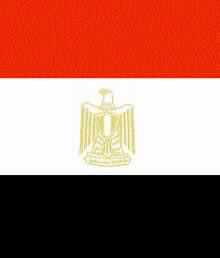 Egypt: NGOs Reject State Human Rights Group