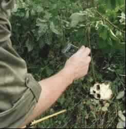 Six New Mass Graves Revealed at Srebrenica