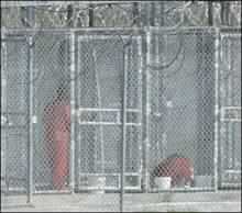 Saudis Tortured at Guantanamo Bay