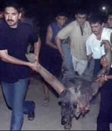 Three Palestinians Killed in Israeli Raid