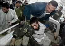 Five Palestinians Killed by Israeli Fire