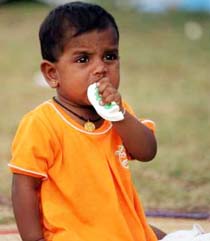 Tsunami Toll Passes Quarter Million