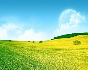 Comment accéder à l’amour d’Allah 