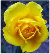 Mar&iacute;a la egipcia