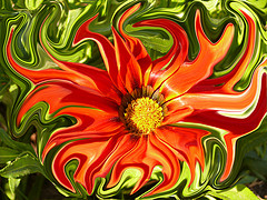 Degradaci&oacute;n de la mujer en los medios masivos de comunicaci&oacute;n