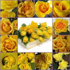 Sus esposas, un an&aacute;lisis - I