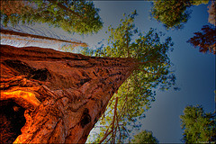 La educaci&oacute;n de las j&oacute;venes: de las abuelas a las nietas