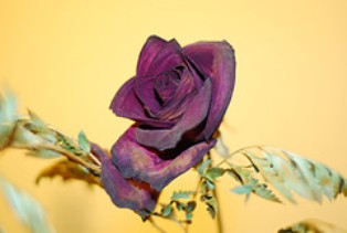 El esposo cr&iacute;tico (Parte III)