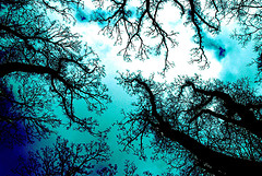 &iquest;Dios se hizo hombre?